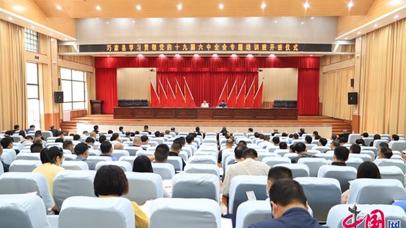 技能培训与学历教育的优劣势解析